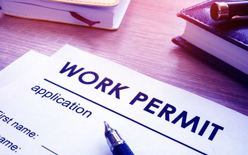 Best Work Permit Consultants in Punjab